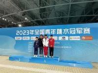 包含沙坪坝队志在必胜，昂首挺胸费九牛二虎的词条